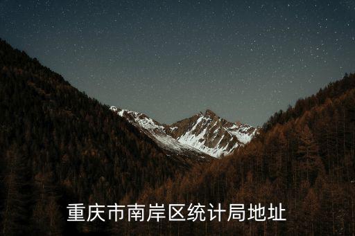 重慶市統計局，重慶市南岸區統計局地址