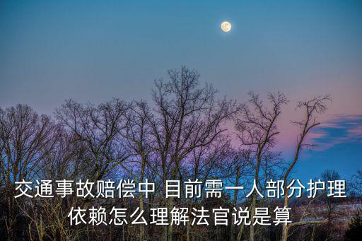 交通事故賠償中 目前需一人部分護理依賴怎么理解法官說是算