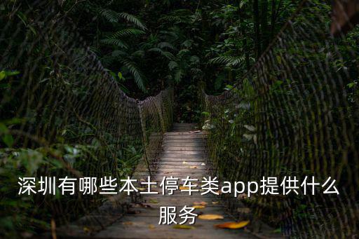 深圳市寶合停車科技，深圳有哪些本土停車類app提供什么服務(wù)
