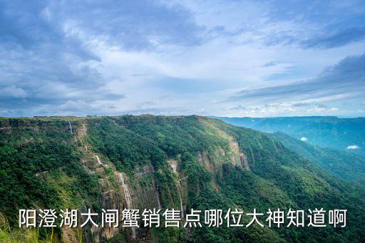 陽澄湖大閘蟹銷售點哪位大神知道啊