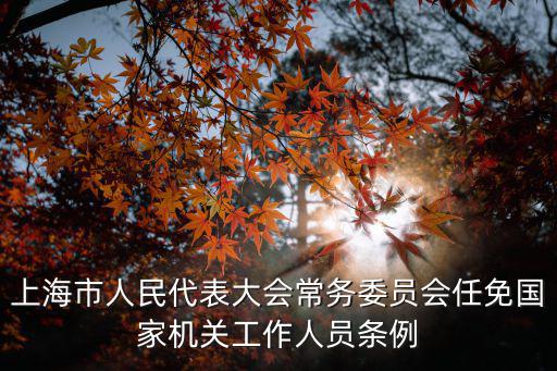 上海市人大常委會辦公廳主任，上海歷屆人大主任是誰