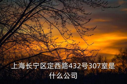 上海市長寧區黃金城道，上海長寧區定西路432號307室是什么公司