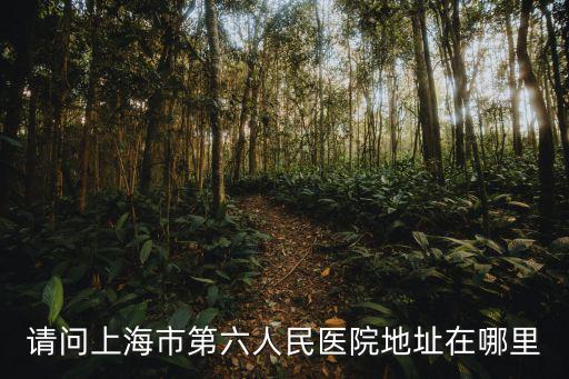 上海市6醫院 電話號碼，上海第六人民醫院金三寶的號碼是多少