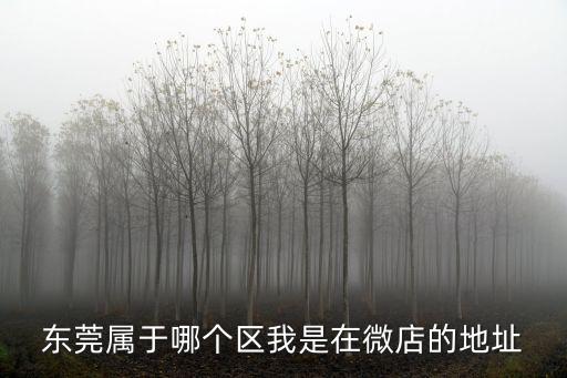 東莞屬于哪個區我是在微店的地址