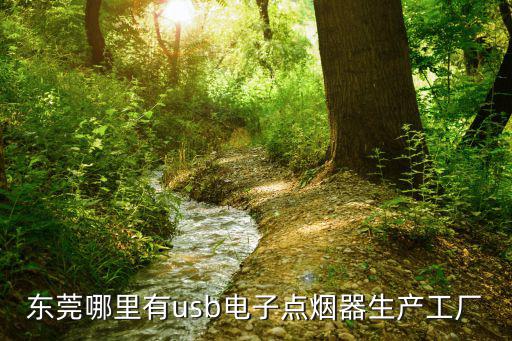 東莞哪里有usb電子點煙器生產工廠