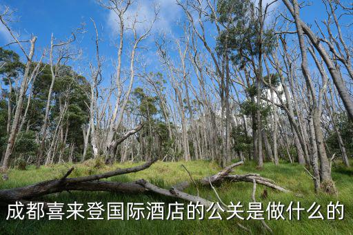 成都喜來登國際酒店的公關(guān)是做什么的