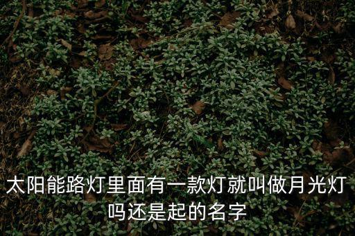 太陽能路燈里面有一款燈就叫做月光燈嗎還是起的名字