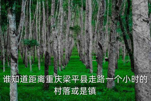 重慶市梁平縣黃橋村，重慶的梁平有個叫黃家橋的地方 嗎啊