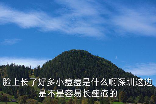 臉上長了好多小痘痘是什么啊深圳這邊是不是容易長痤瘡的