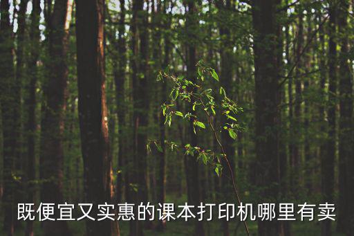 東莞晨龍制版，東莞大朗有沒有島精畫畫培訓班