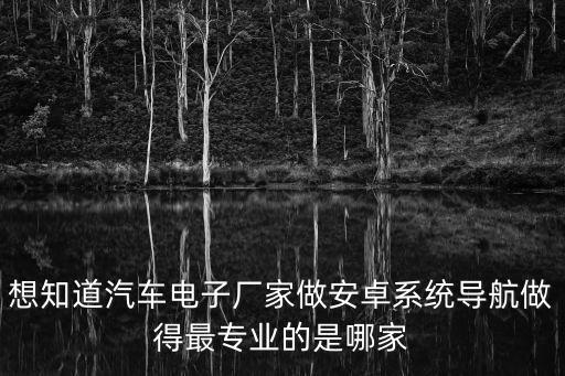 想知道汽車電子廠家做安卓系統(tǒng)導航做得最專業(yè)的是哪家
