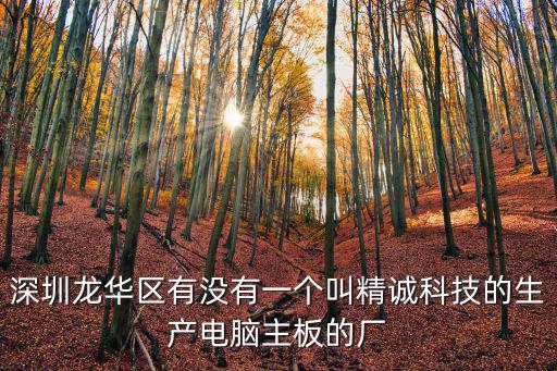 深圳龍華區(qū)有沒有一個叫精誠科技的生產(chǎn)電腦主板的廠