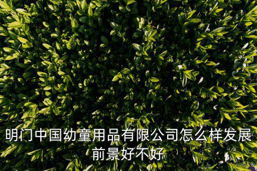 明門中國幼童用品有限公司怎么樣發展前景好不好