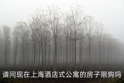 上海市的公寓外地人能買嗎，請(qǐng)問(wèn)現(xiàn)在上海酒店式公寓的房子限購(gòu)嗎
