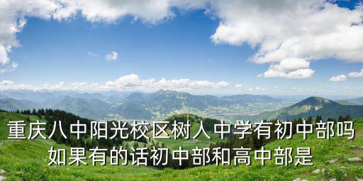 重慶八中陽光校區(qū)樹人中學有初中部嗎如果有的話初中部和高中部是