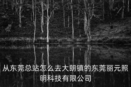 東莞市麗元照明有限公司，東莞最好的節(jié)能燈生產(chǎn)廠家叫什么名字