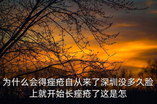 為什么會得痤瘡自從來了深圳沒多久臉上就開始長痤瘡了這是怎