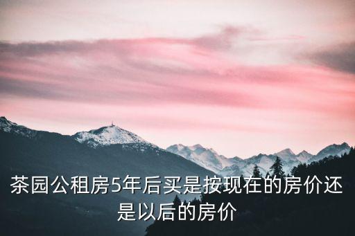 茶園公租房5年后買是按現在的房價還是以后的房價