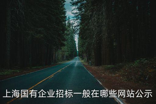 上海國(guó)有企業(yè)招標(biāo)一般在哪些網(wǎng)站公示