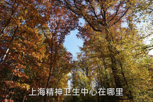 上海精神衛生中心在哪里