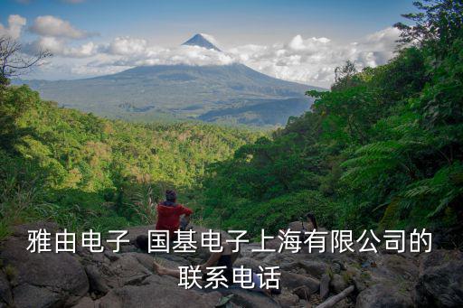 雅由電子  國(guó)基電子上海有限公司的聯(lián)系電話