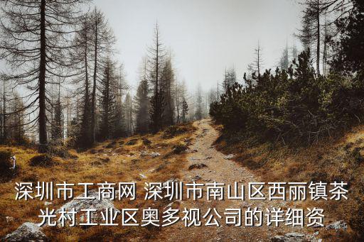 深圳艾康視科技，深圳市艾威視數碼科技有限公司誰了解的比較清楚給介紹下