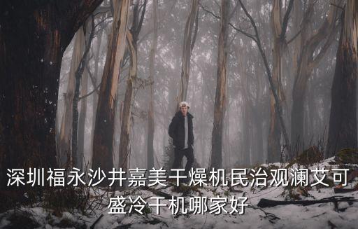 深圳福永沙井嘉美干燥機(jī)民治觀瀾艾可盛冷干機(jī)哪家好