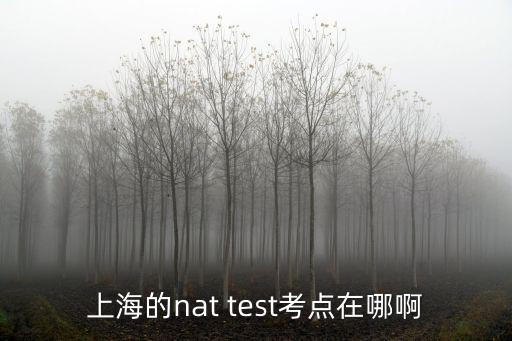 上海的nat test考點在哪啊