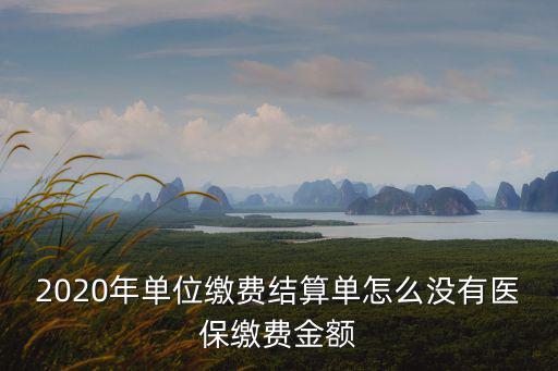 2020年單位繳費結(jié)算單怎么沒有醫(yī)保繳費金額