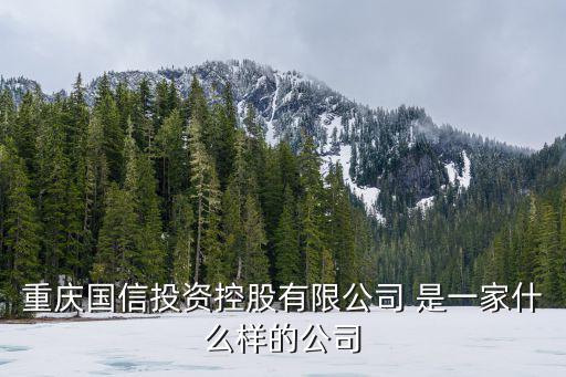 重慶市國資委部門分工，重慶機床廠的上級管理部門是什么是重慶國資委還是國家機械部啊