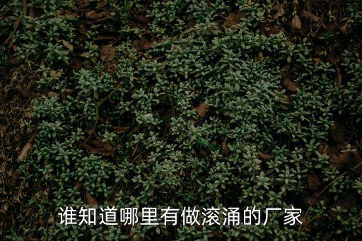 誰知道哪里有做滾涌的廠家
