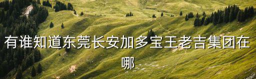 有誰知道東莞長安加多寶王老吉集團(tuán)在哪