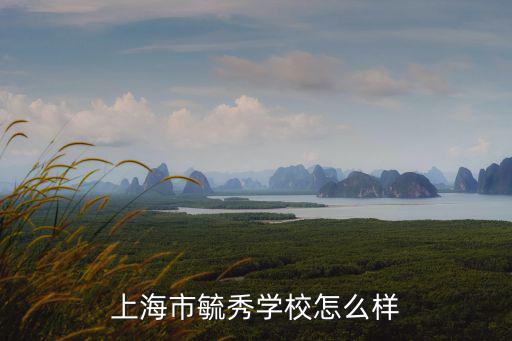 上海市毓秀學(xué)校怎么樣