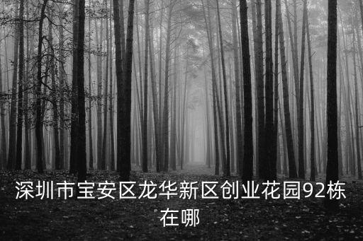 深圳市寶安區(qū)龍華新區(qū)創(chuàng)業(yè)花園92棟在哪