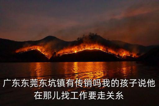 廣東東莞東坑鎮(zhèn)有傳銷嗎我的孩子說他在那兒找工作要走關(guān)糸