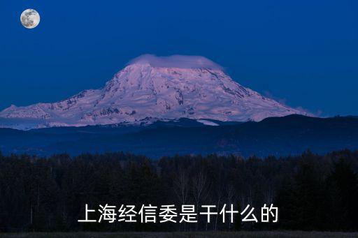 上海經信委是干什么的