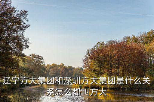 遼寧方大集團和深圳方大集團是什么關系怎么都叫方大