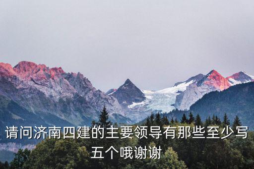 請問濟南四建的主要領導有那些至少寫五個哦謝謝