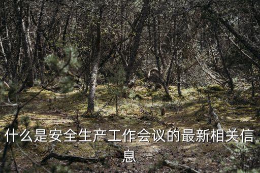 什么是安全生產工作會議的最新相關信息