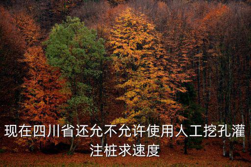 現在四川省還允不允許使用人工挖孔灌注樁求速度
