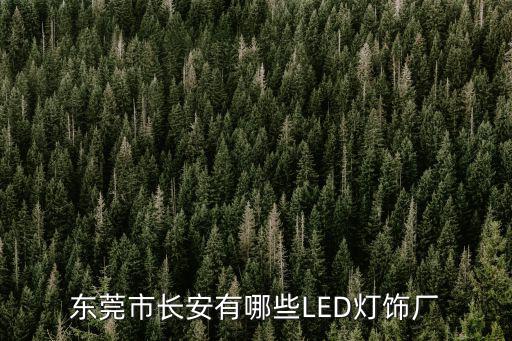 東莞市長安有哪些LED燈飾廠