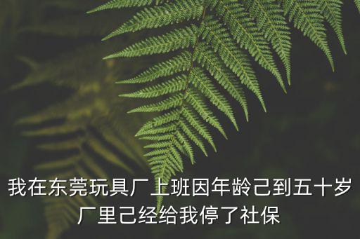 我在東莞玩具廠上班因年齡己到五十歲廠里己經給我停了社保