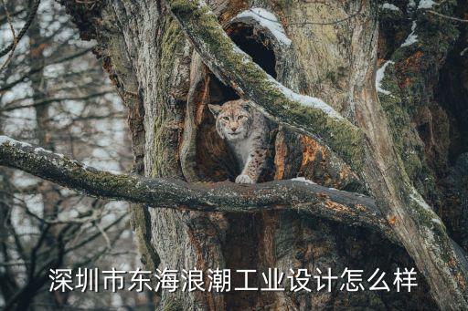 深圳市東海浪潮工業(yè)設計怎么樣
