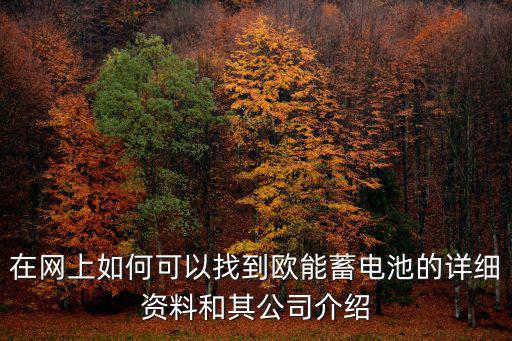 在網(wǎng)上如何可以找到歐能蓄電池的詳細(xì)資料和其公司介紹