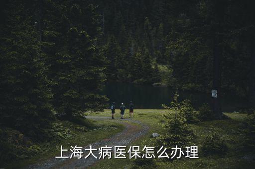 上海大病醫保怎么辦理