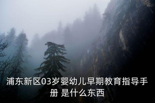 上海市0到3歲教養方案，浦東新區03歲嬰幼兒早期教育指導手冊 是什么東西