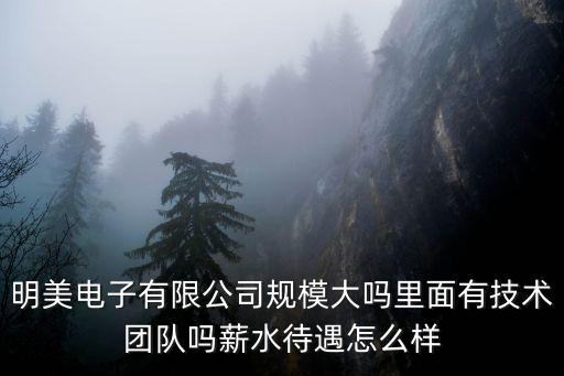 明美電子有限公司規(guī)模大嗎里面有技術(shù)團(tuán)隊嗎薪水待遇怎么樣