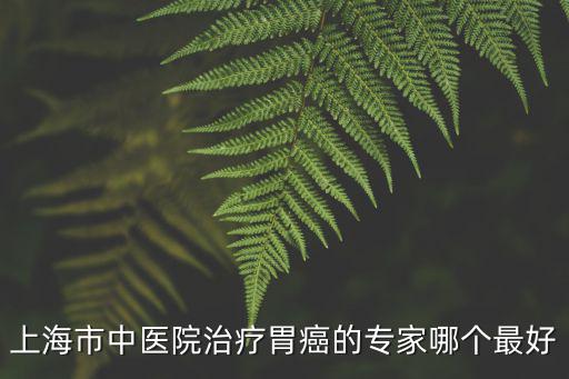 上海市中醫院治療胃癌的專家哪個最好
