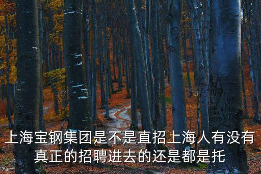 上海寶鋼集團(tuán)是不是直招上海人有沒有真正的招聘進(jìn)去的還是都是托