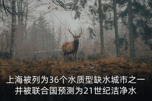 上海被列為36個水質型缺水城市之一并被聯合國預測為21世紀潔凈水